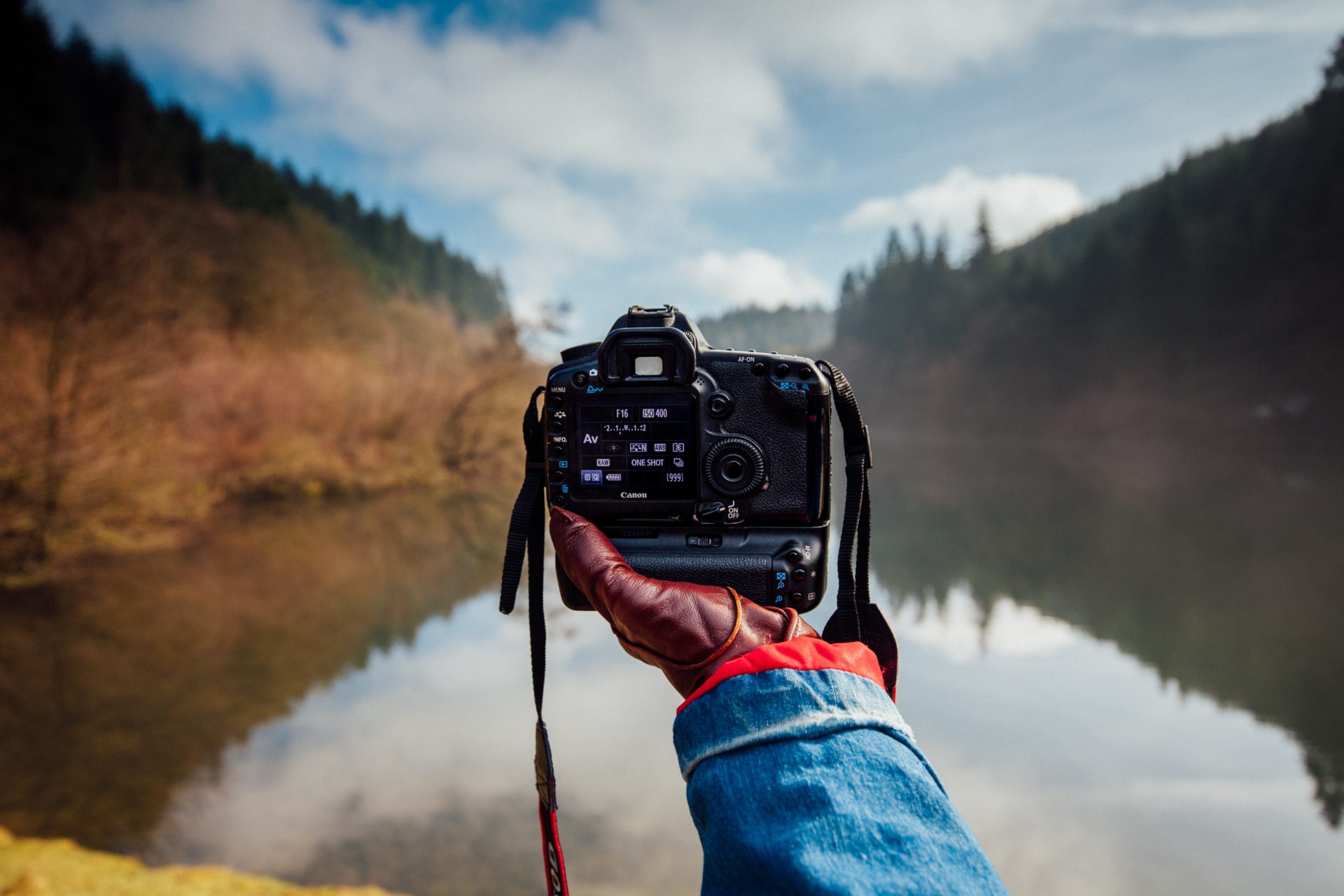 Guía para cámaras profesionales: 8 consejos a tener en cuenta antes de  comprar una cámara profesional - Balo Loba Fotografía